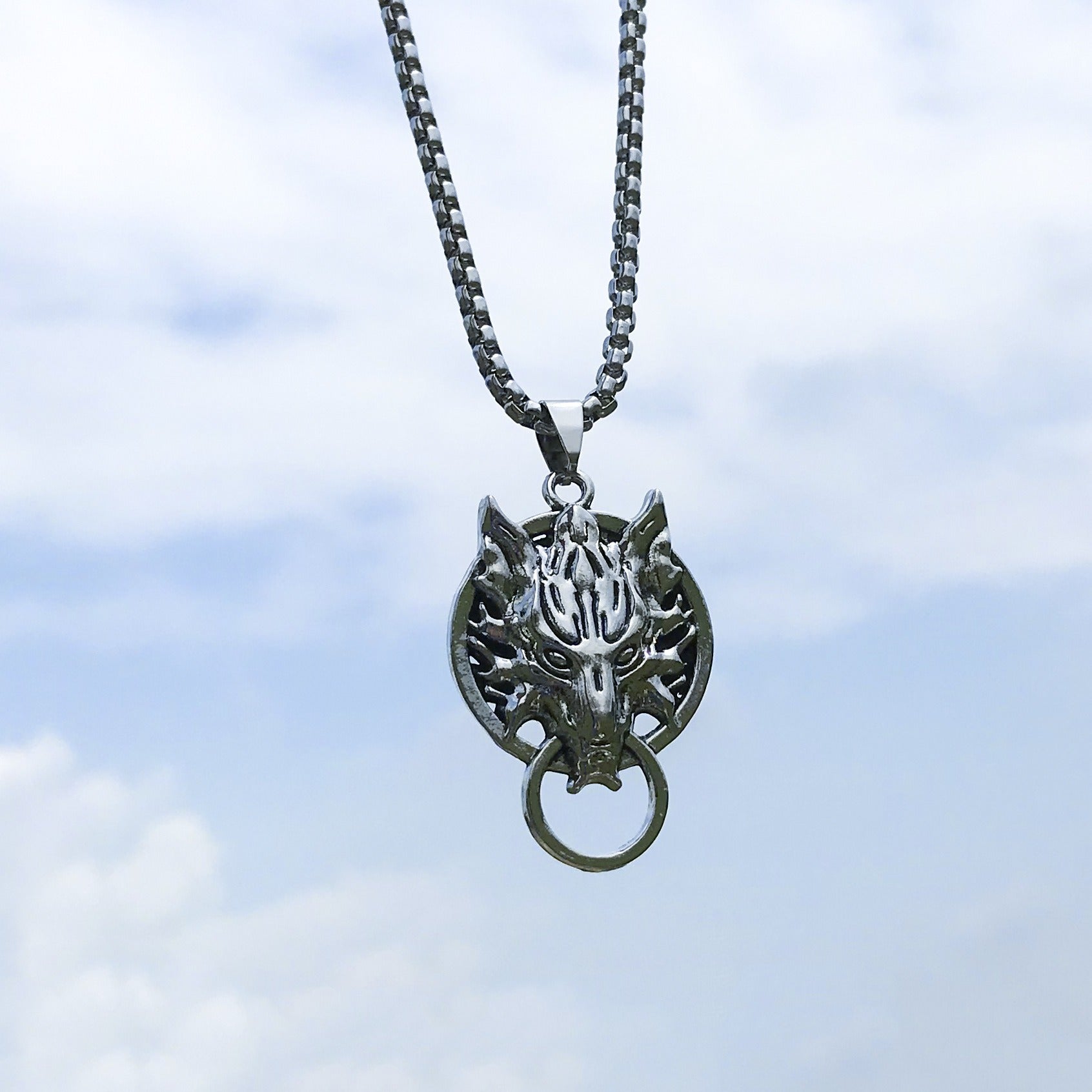 Hip-Hop Animal Pendant Necklace | Titanium Steel Box Chain | Vintage Finish | 51-80cm | Unisex | 80+ Designs