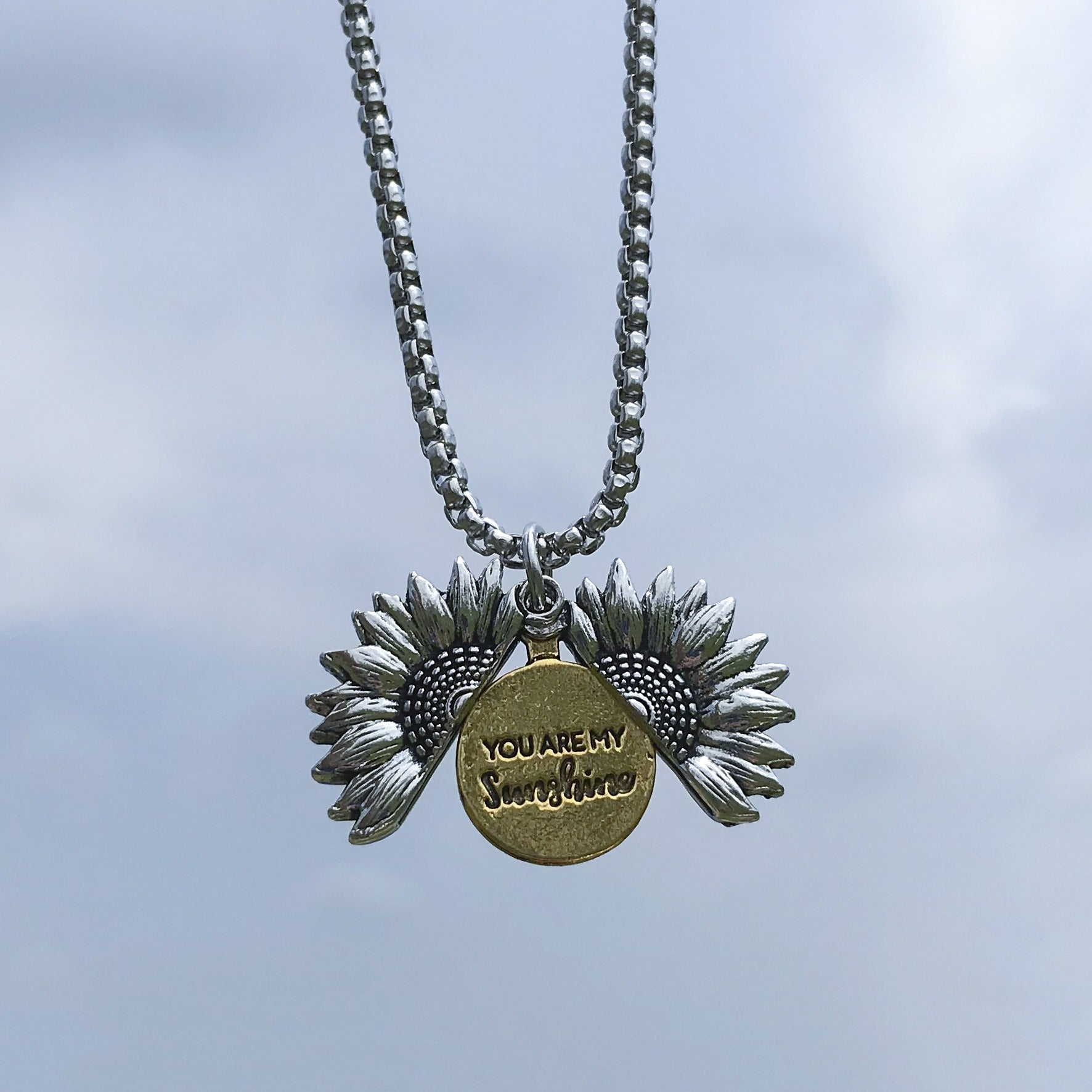 Hip-Hop Animal Pendant Necklace | Titanium Steel Box Chain | Vintage Finish | 51-80cm | Unisex | 80+ Designs