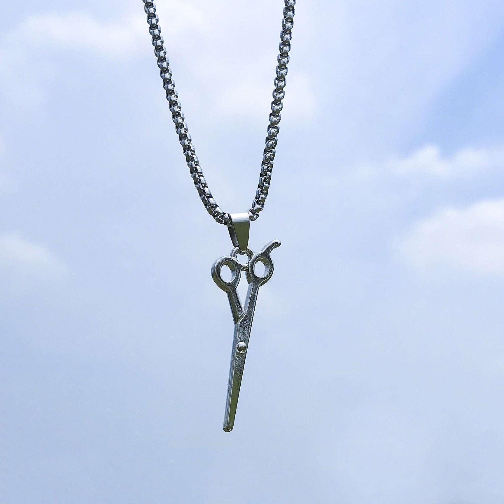 Hip-Hop Animal Pendant Necklace | Titanium Steel Box Chain | Vintage Finish | 51-80cm | Unisex | 80+ Designs